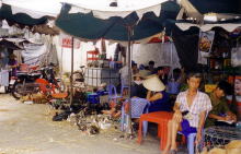 �H��{����B���̍���SARS�����͂Ȃ�������