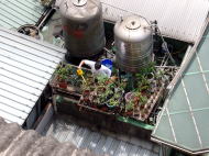 �Ƃ���ߌ�̒�������B��p�I�K�[�f�j���O