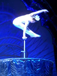 ��C�G�Z�c�@�@����̐l�ԁI