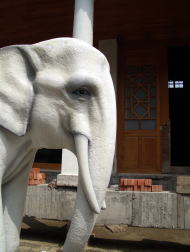 �G�L�]�`�b�N�ȏۂ̑��i�H)