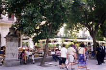 �A���}�X�L��