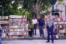 �A���}�X�L��̌Ö{����