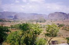 �r�j���[���X�k�J