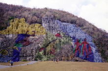 �r�j���[���X�k�J