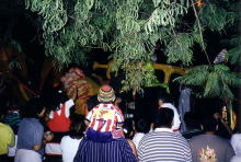 �Z���g���ł̃J�[�j�o���̗l�q�B