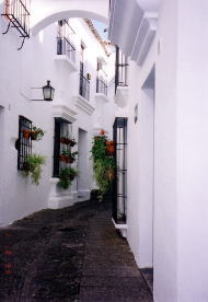 �|�u���E�G�X�p�j���[�� / �A���_���V�A�̔�����