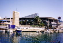 �V���b�s���O�E�Z���^�[�̃}���E�}�O�i��