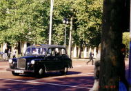 ���h��̃I�[�X�`��