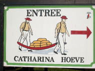 �`�[�Y�H��ւ̓�����B�Ŕ��Ȃ񂩃J���C�C�I