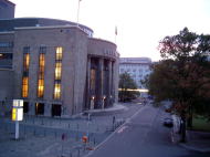 �h�̑����猩���錀��H