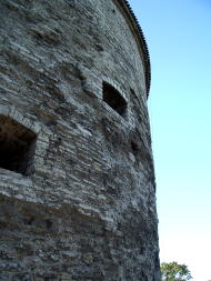 太っちょマルガレータ