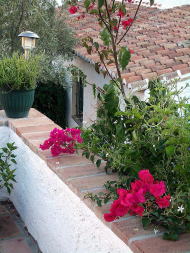 �����ǂɗǂ��f����F�N�₩�ȃu�[�Q���r���A