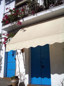 �t���q���A�i1