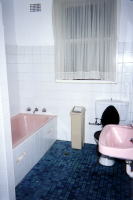 ������p�o�X���[��