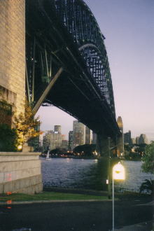 �������猩��V�h�j�[�̖�i����D��������