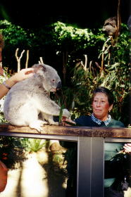 係員の手ほどきの下、写真撮影